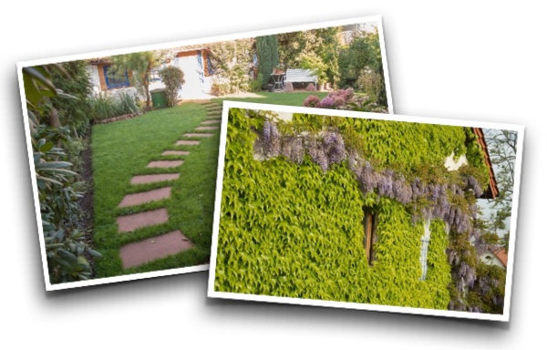 Garten-Neuanlage | deingruen.de