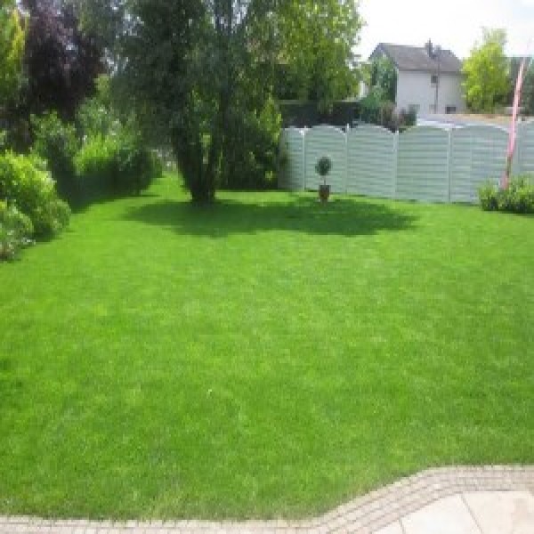 deingruen.de | Rasen, Baum, Garten und mehr…